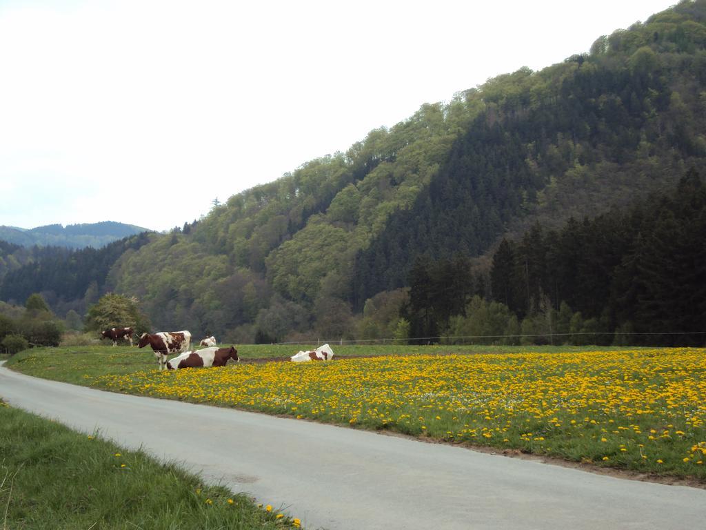 Gasthof Zum Diemeltal マルスベルク エクステリア 写真
