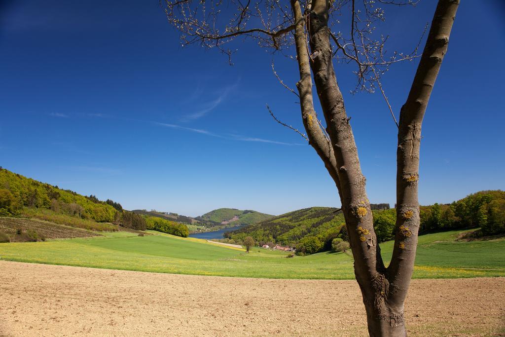 Gasthof Zum Diemeltal マルスベルク エクステリア 写真