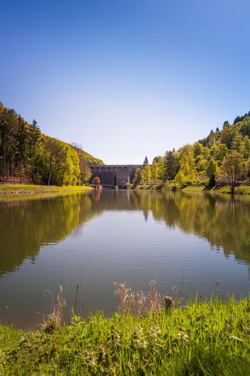 Gasthof Zum Diemeltal マルスベルク エクステリア 写真